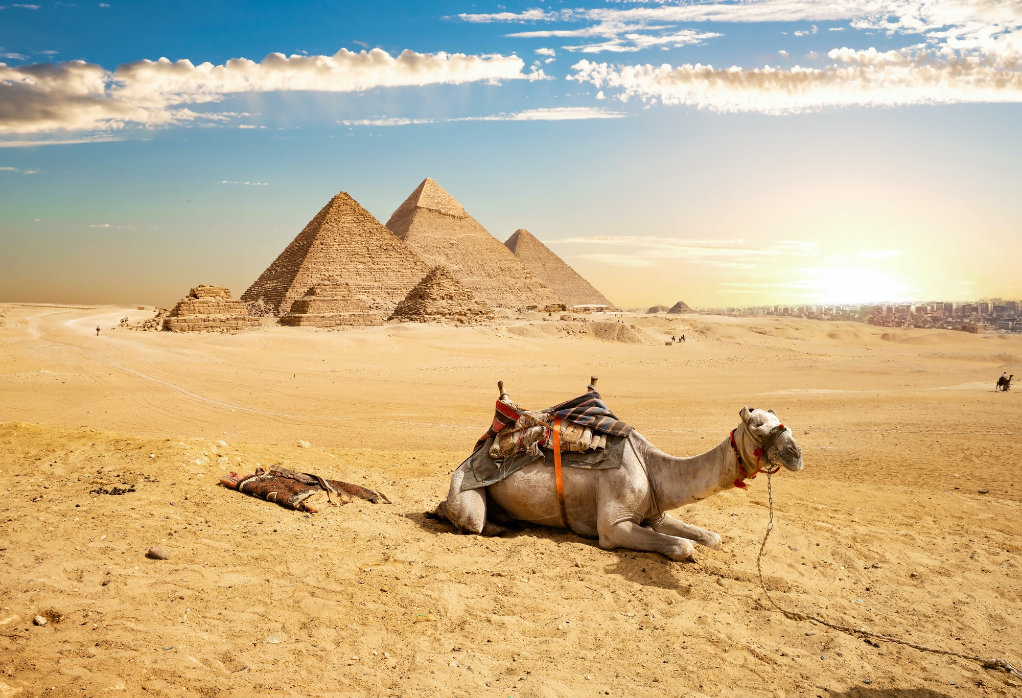 Half-Day Pyramids and Sphinx Tour